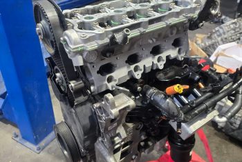 WhatsApp Image 2025-12-10 at 11.39.42