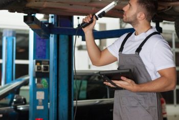 WhatsApp Image 2025-12-11 at 17.37.51